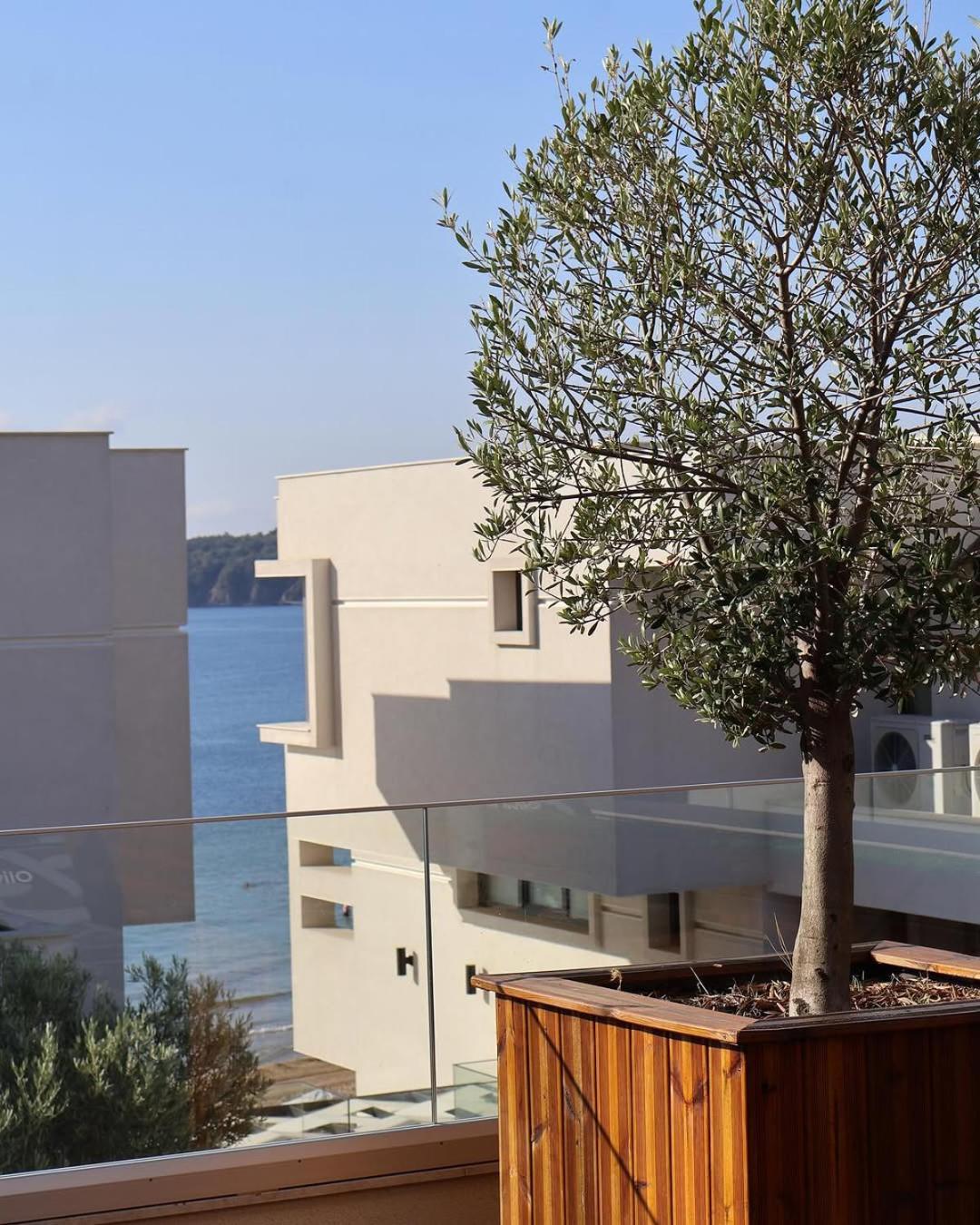 Olive Villas Beach Hotel Sozopol Exterior foto